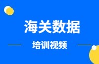 海关数据视频教程